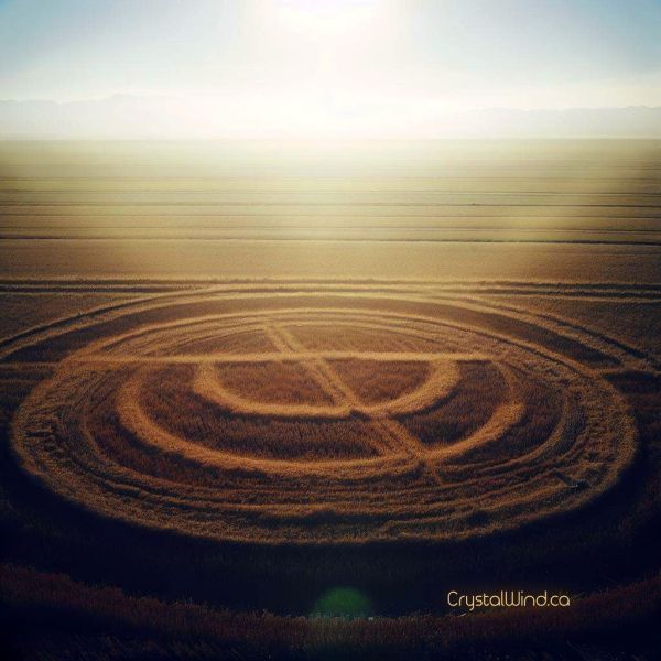 The Crop Circle - ET Connection | Day 4 | 33 Days of Contact The Crop Circle - ET Connection | Day 4 | 33 Days of Contact