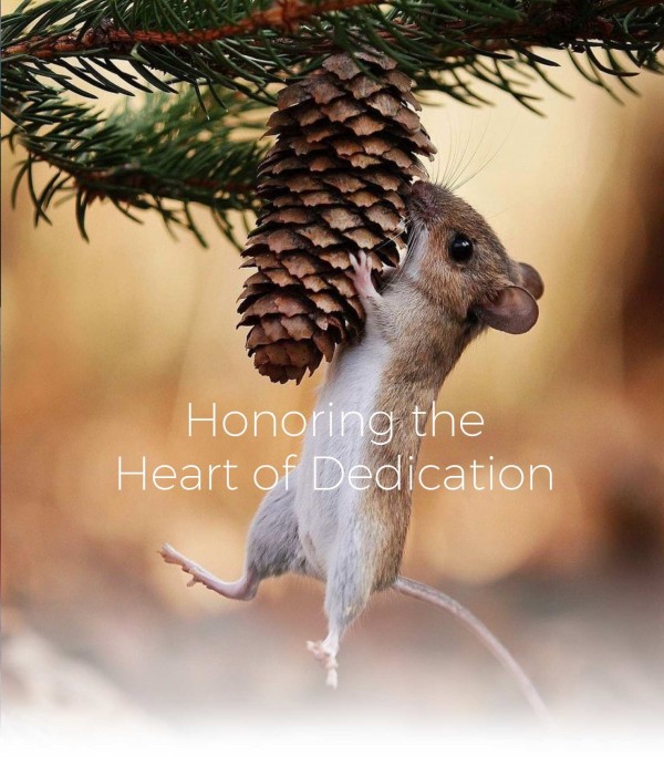 Honoring the Heart of Dedication