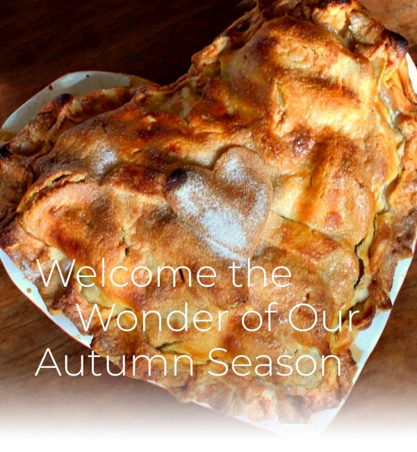 Welcome to the Wonder of our Autumn Season