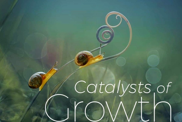 Catalysts of Growth