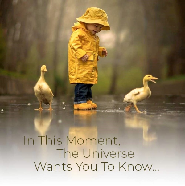 In This Moment, The Universe Wants You To Know...Kindness