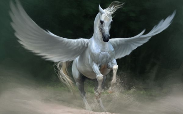 Pegasus: I Love You!