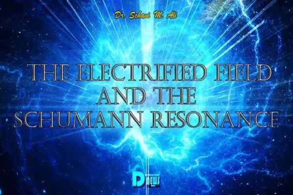 The Electrified Field And The Schumann Resonance