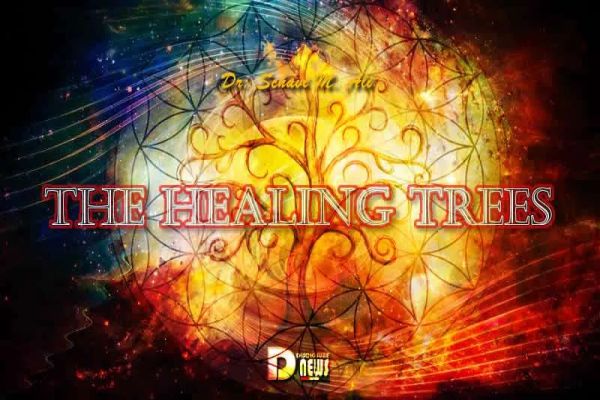 The Healing Trees The Healing Trees