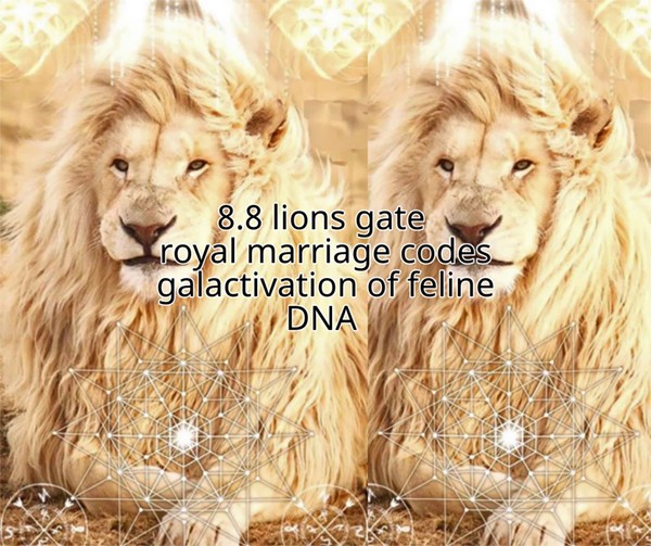 Ascension Report: 8:8 Lions Gate Royal Marriage 