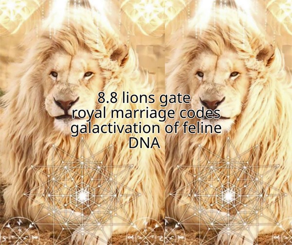 Ascension Report: 8:8 Lions Gate Royal Marriage Ascension Report: 8:8 Lions Gate Royal Marriage