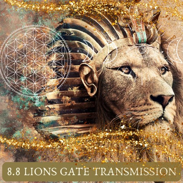 Twin Flame Ascension Report: Lions Gate Portal And The Evolution Of Humanity