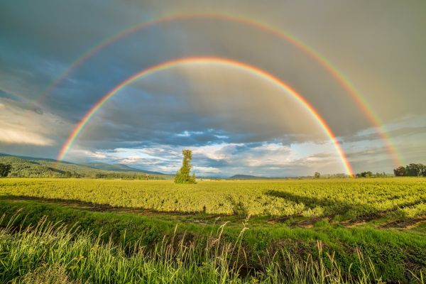 Searching for the Rainbow