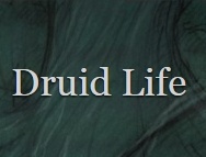 druid life