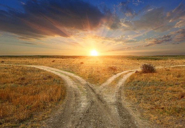 Choice As Life - The Lemurian Council of Twelve Choice As Life - The Lemurian Council of Twelve