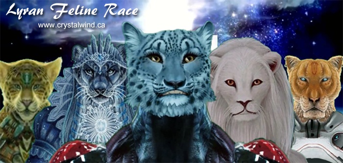 Gaia’s Planetary Ascension - The Feline Race