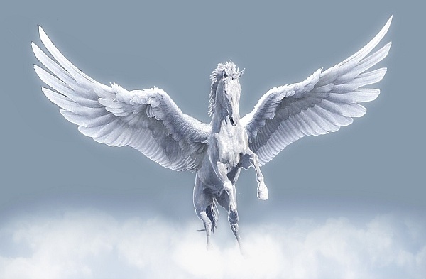Pegasus pegasus0