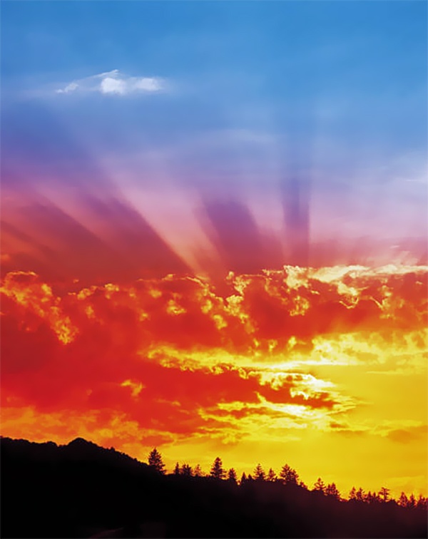 Buddha: The New Day Dawns Buddha: The New Day Dawns