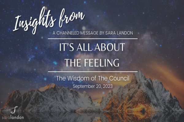 Insights from It’s All About the Feeling - Wisdom of the Council