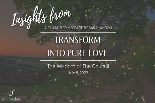 Transform into Pure Love - Wisdom of the Council