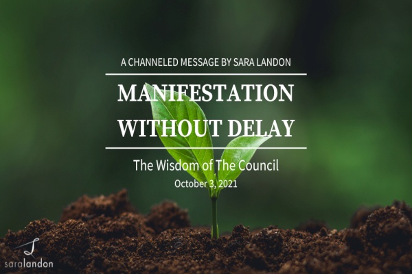 Manifestation without Delay - Wisdom of the Council