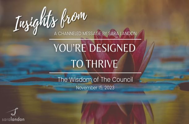 Insights from You’re Designed to Thrive - Wisdom of the Council Insights from You’re Designed to Thrive - Wisdom of the Council