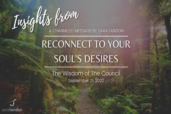Insights from Reconnect to Your Soul’s Desires - Wisdom of the Council