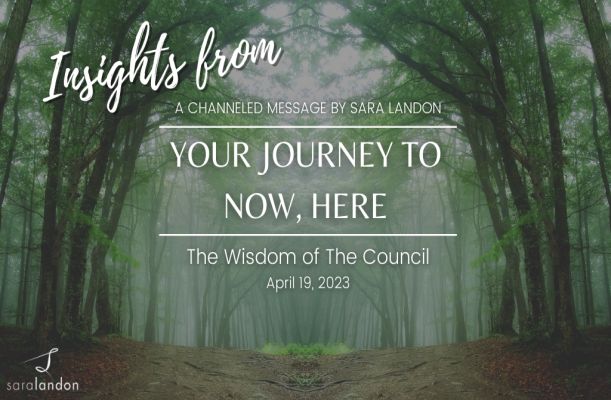 Insights from Your Journey to Now, Here - Wisdom of the Council Insights from Your Journey to Now, Here - Wisdom of the Council