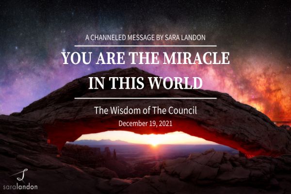 You Are the Miracle in This World - Wisdom of the Council