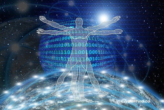 Awaken from the Matrix Awaken from the Matrix