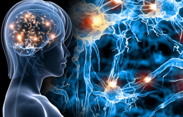 Holographic Mind Holographic Mind