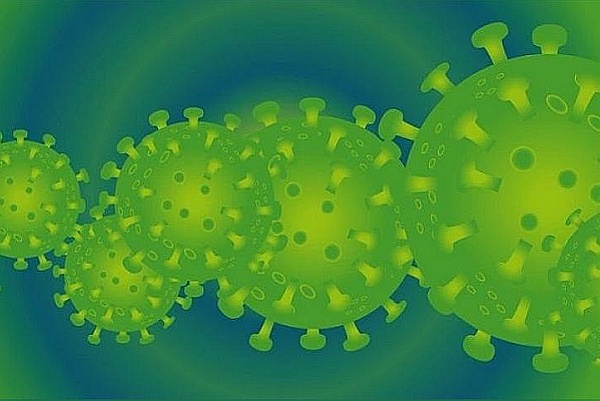 The Coronavirus - A Pleiadian Perspective The Coronavirus - A Pleiadian Perspective