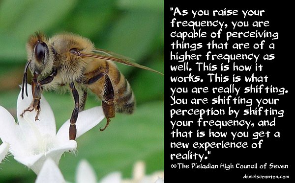 Your 5D Senses ∞The Pleiadian High Council of Seven 5d-senses