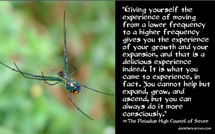 The Pleiadian High Council of Seven pleiadian-frequency