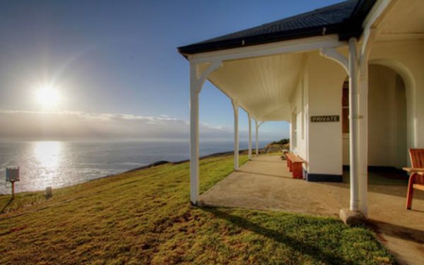 How to Make the Most of Your First Montague Island Tour How to Make the Most of Your First Montague Island Tour