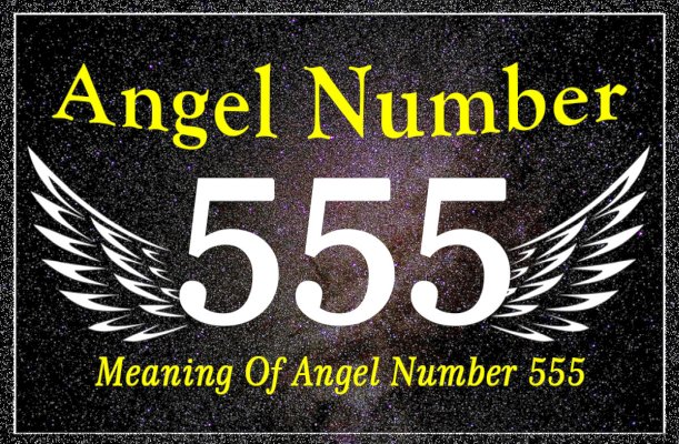 555 Meaning - An Intellectual Mind with the Right Attitude