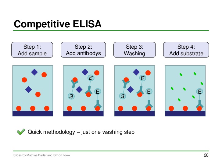 Choosing the Right ELISA Kit for Your Lab: 5 Crucial Things to Keep in Mind