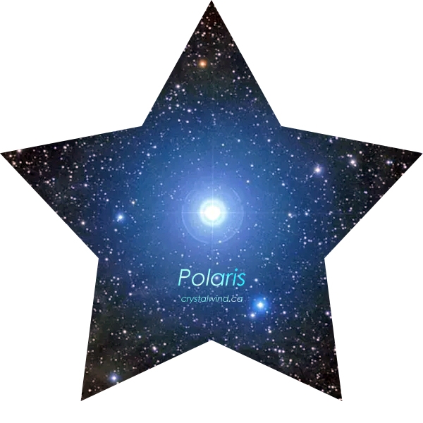 Starseed Series: Polarians