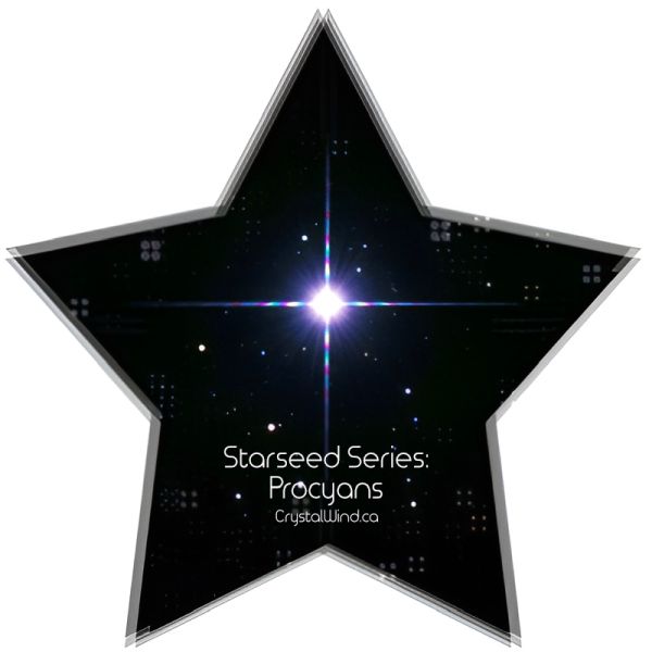 Starseed Series: Procyans