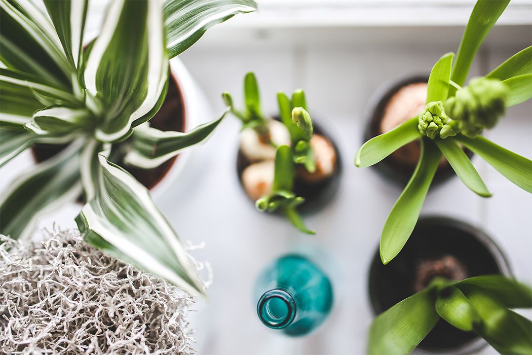 Feng Shui Tips For Money And Wealth engshuitipsformone