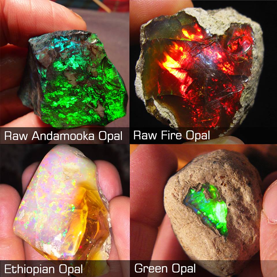 opal-types