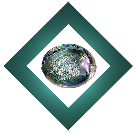 Abalone Shell Abalone Shell