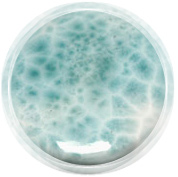 larimar_circle