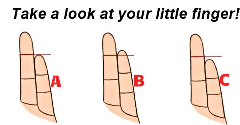 Your Little Finger Determines Your Personality