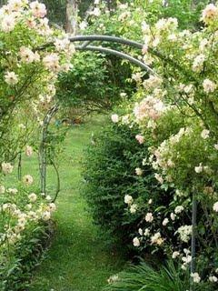 rose_garden