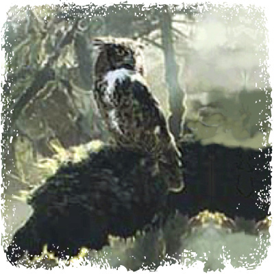 Spirit of Great Horned Owl great_horned_owl