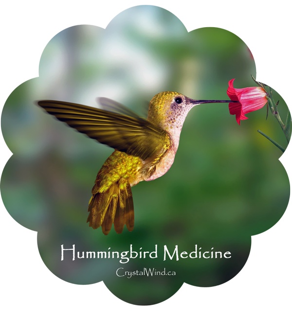 Hummingbird Medicine