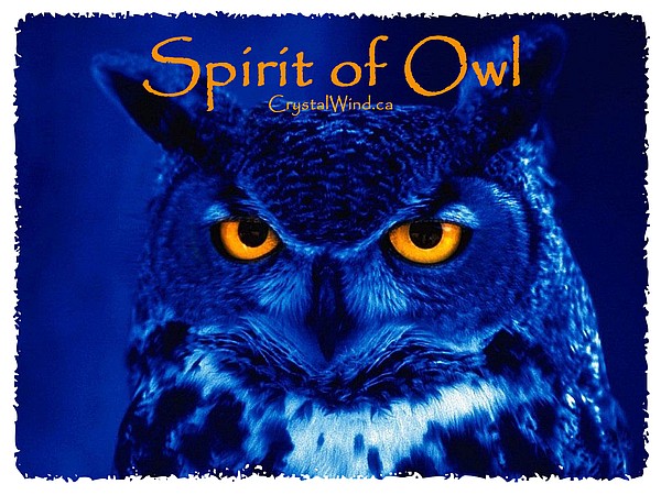 Spirit of Owl