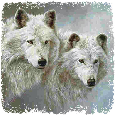 white_wolf