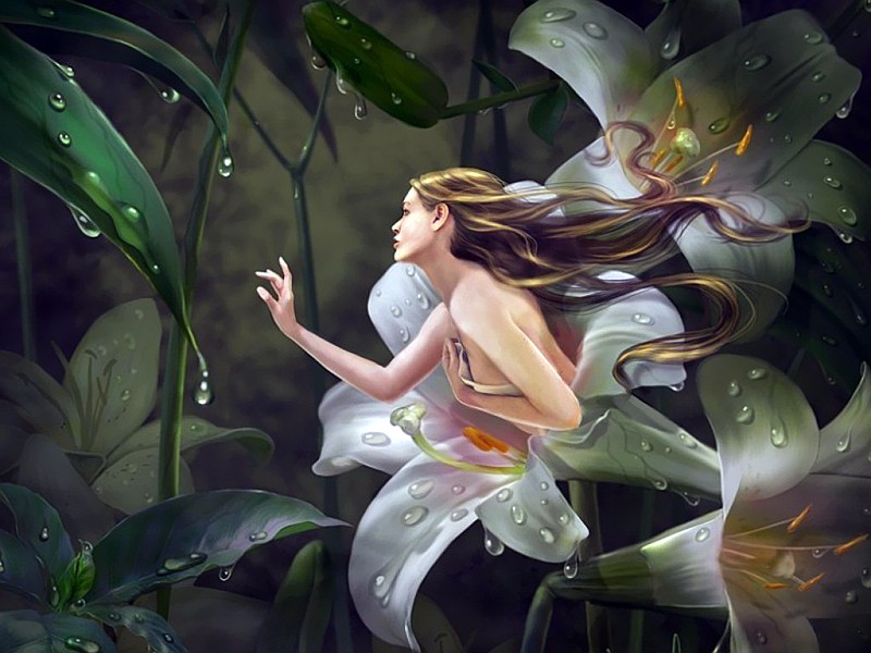The Origin of Fairies