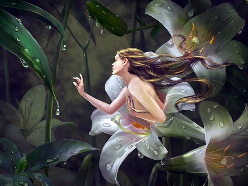 The Origin of Fairies The Origin of Fairies