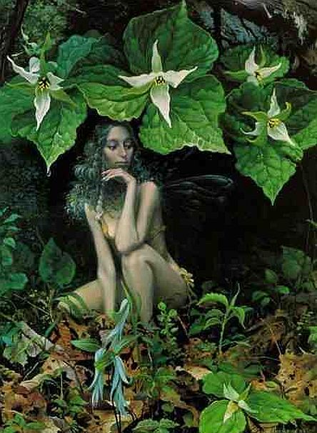 A History of Irish Fairies fairy36