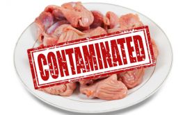 chicken-plate-contaminated