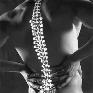 spine