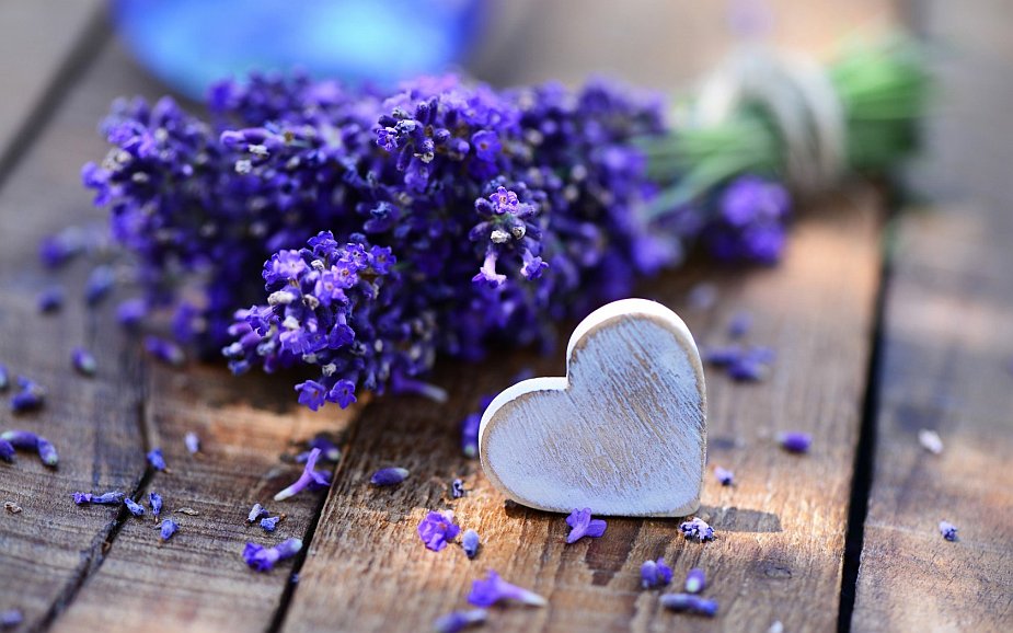 bouquet-lavender-purple-heart